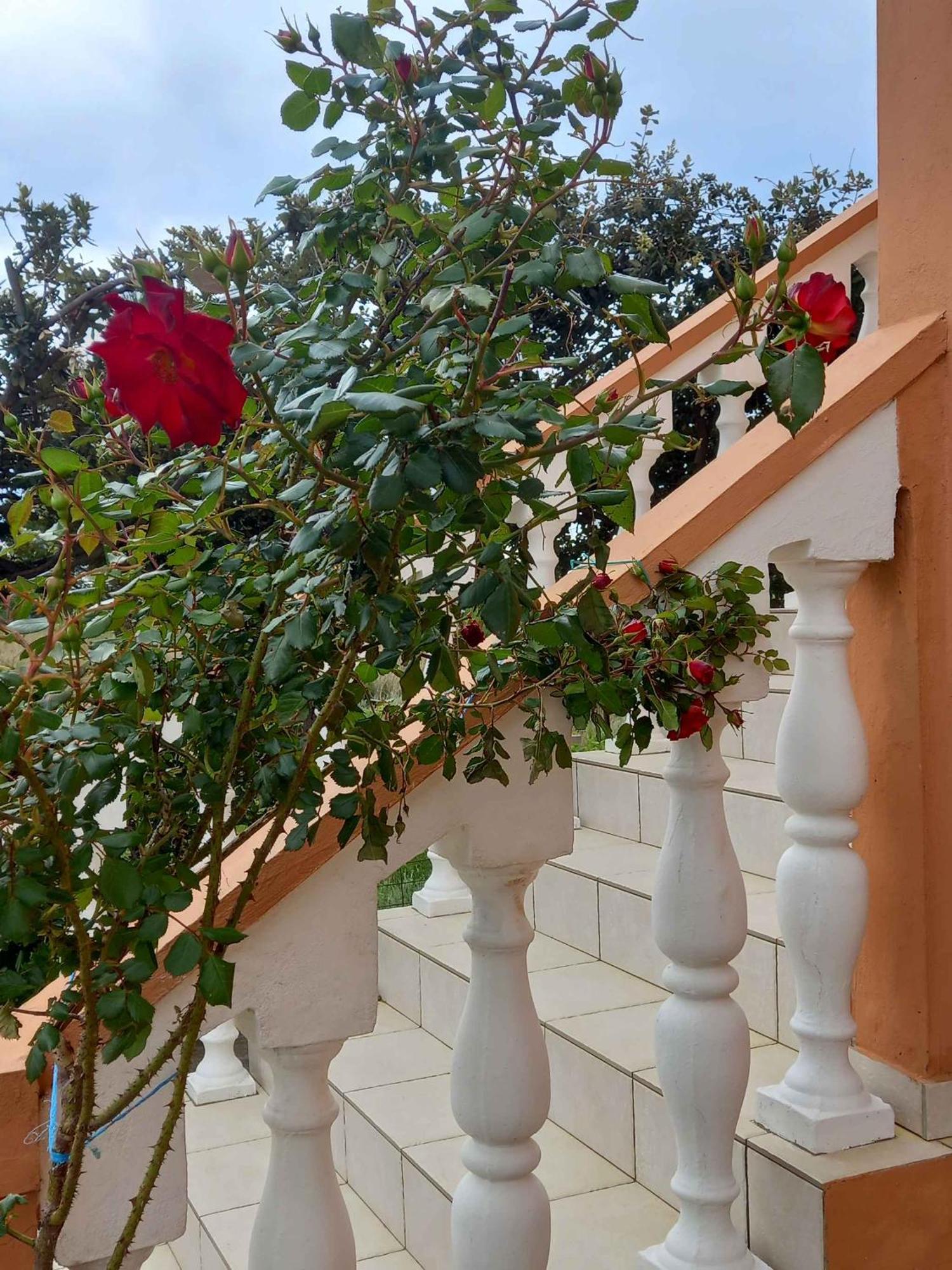 Apartments In Rab - Insel Rab 39950 Mundanije Exterior foto